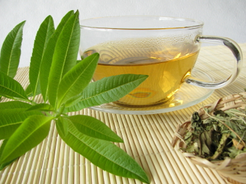 Essiac leaf and tea
